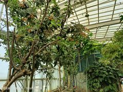 -石家庄市植物园