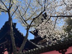 -寒山寺
