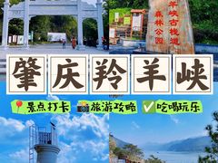 -羚羊峡古栈道森林公园