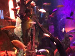 -沈阳海洋探索中心