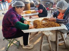 -苏州市吴中区光福窑上花果蜜饯厂