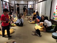 -逗柴咖啡屋·狗咖猫咖宠物桌游