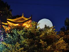 -巴倒烫陆派重庆火锅(南山店)