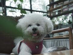 -北马山庄植趣咖啡