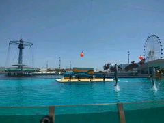 -秦皇岛乐岛海洋王国