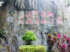 -西双版纳原始森林公园