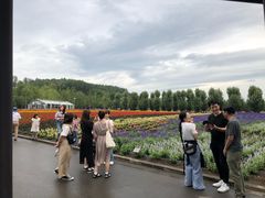 -富田农场