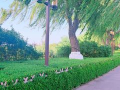 -济南大明湖景区