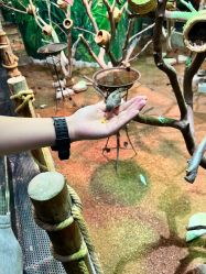 -Zoolung Zoolung动物主题公园(海信广场店)