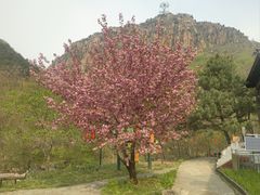 -京东石林峡风景区