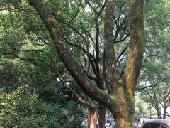 -浙江大学(玉泉校区)