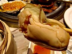-火炉火自助餐(喜隆多店)