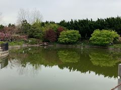 -嘉定紫藤园