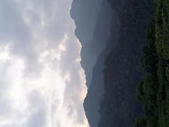 -鼎香皇高佬苏裹蒸粽