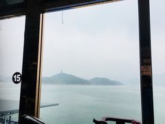 -望湖烤鱼
