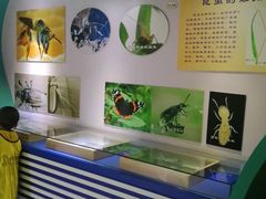 -上海昆虫博物馆