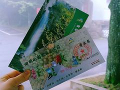 -四明山国家森林公园