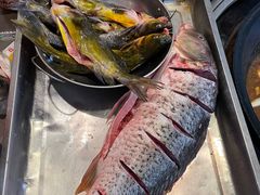 鲤鱼和黄辣丁-姥家大锅台水库渔家