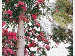 -云溪植物园