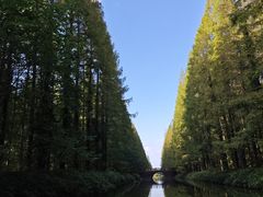 -黄海国家森林公园