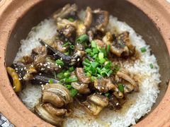 -红星光发煲仔饭(大石街店)