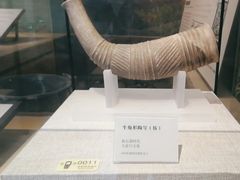 -日照市博物馆