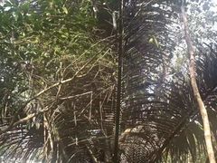 -七仙岭温泉国家森林公园