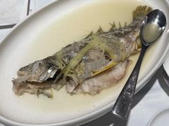 黄花滑-花城苑广府菜(侨鑫店)
