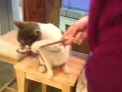 iphone_upload_pic-MIKAKU(万达广场上海宝山店)