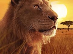 -百丽宫影城(ifc商场店)