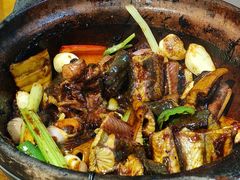 -天宝食坊·啫啫煲大排档(西华路店)