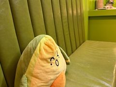 -油梨树AVOCADO TREE(顺义新国展店)