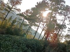 -石塘人家