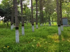 -大兴滨河森林公园