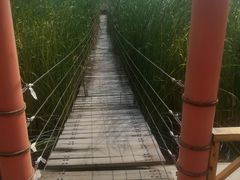 浮桥-河北村民俗体验园