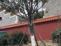 -南岳大庙