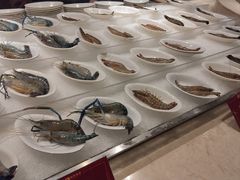 -雍和会海鲜姿造自助(湖东路店)