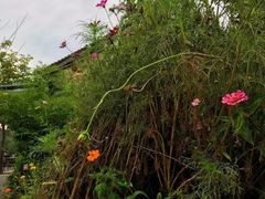 -百里峡七彩艺术小镇