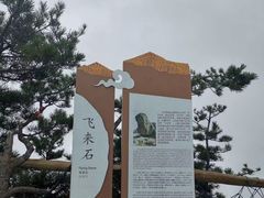 -洛阳白云山景区