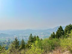 -白水寺森林公园