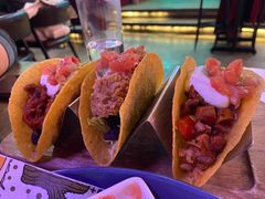 -Famous肥猫墨西哥音乐餐吧(五棵松华熙LIVE店)