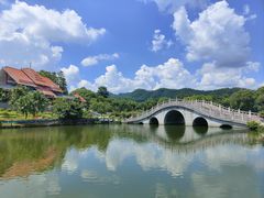 -大屏嶂森林公园