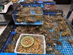 -东海怡品海鲜豆捞(星街坊店)