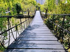 -南汇桃花村