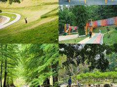 -广州市白云山风景名胜区