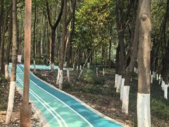 -重庆彩云湖湿地公园