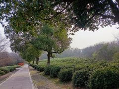 -南京市江宁方山