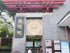 -莲花池公园
