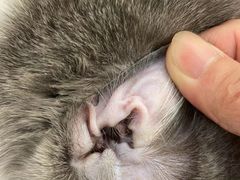 -comecome来吧宠物(奥克斯中心店)