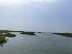 -北海金海湾红树林生态旅游区